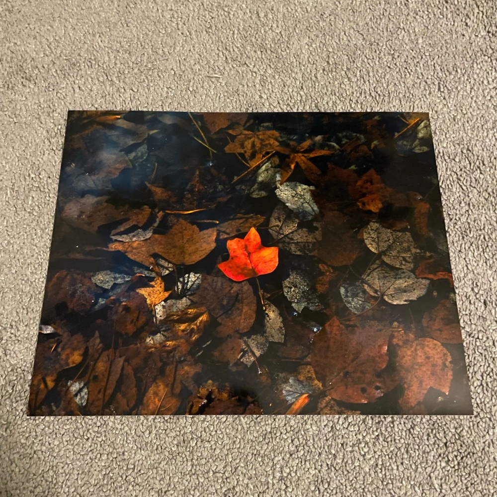 8” x 10” Autumn Red Standout Print